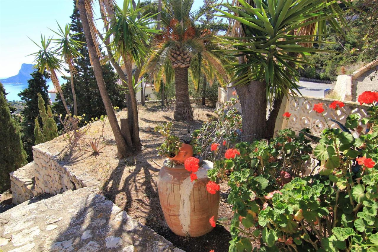 Maryvilla 0306 كاليبي المظهر الخارجي الصورة